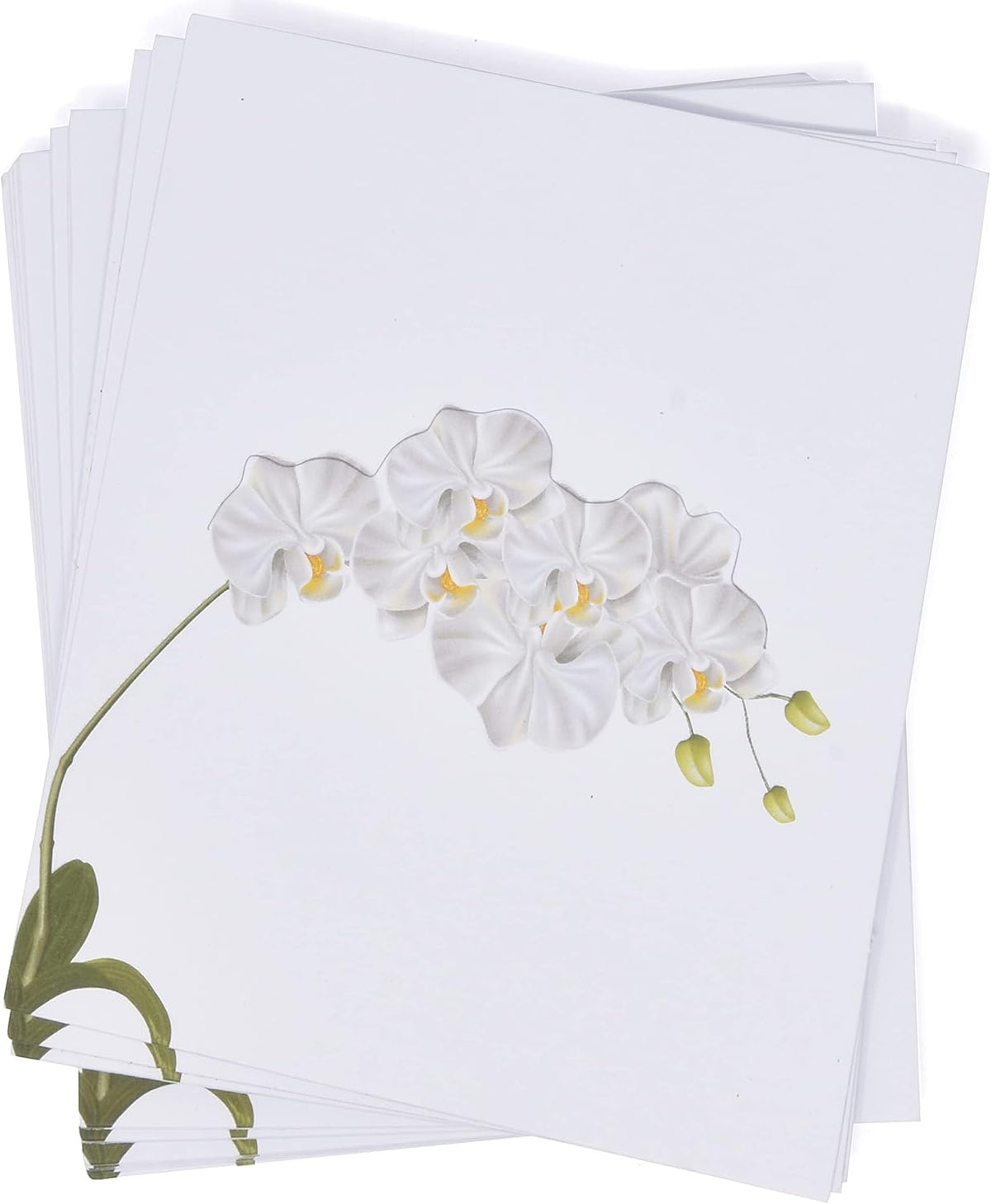 White Orchid Floral Place Cards 50 Count Wedding Tent Cards Table Setting